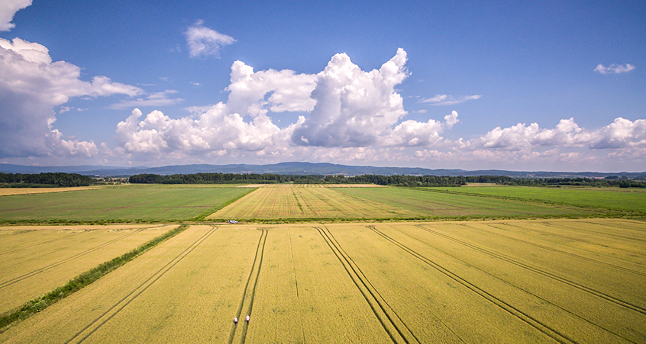 our_seed_multiplication_farm