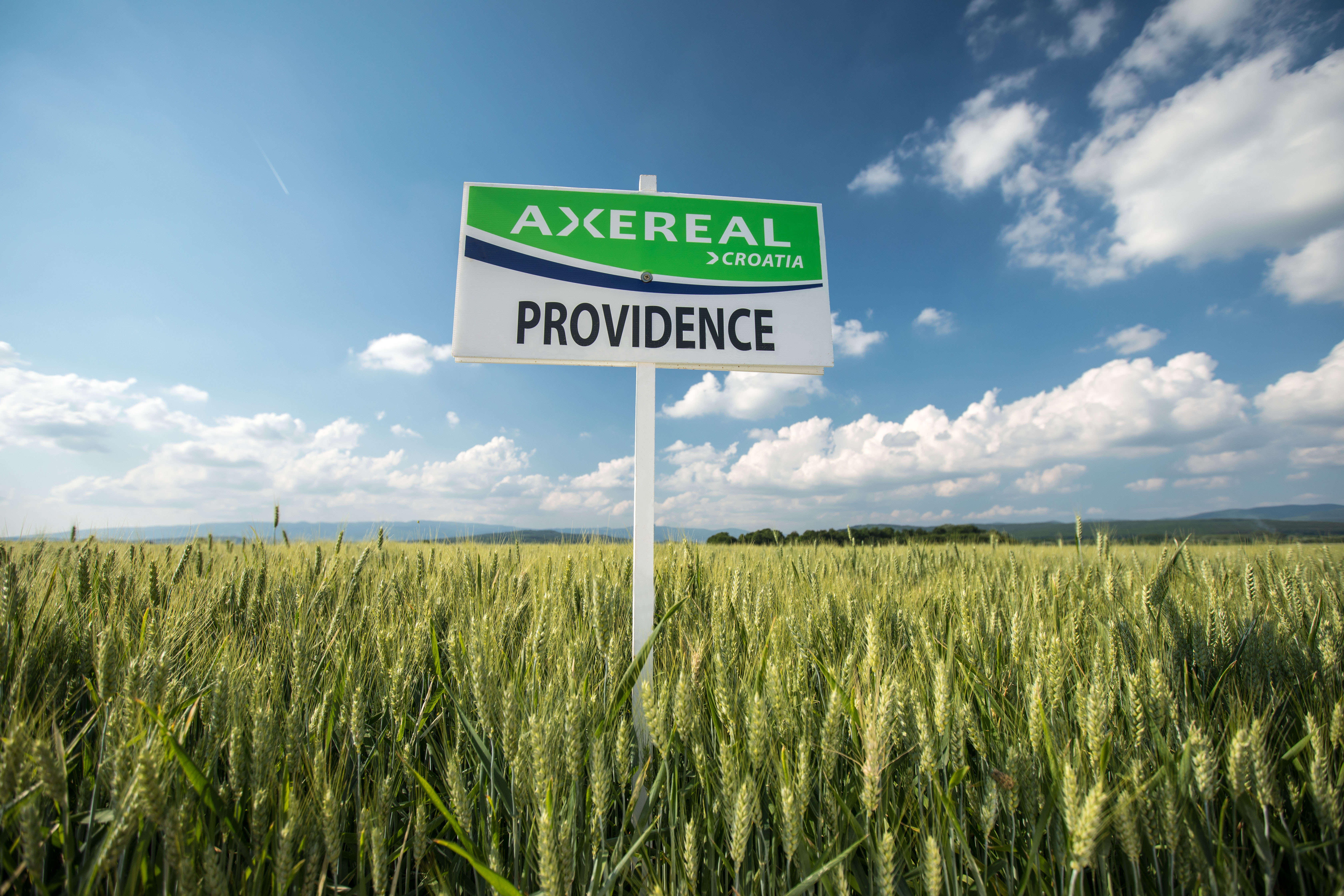 Providence.jpg Providence