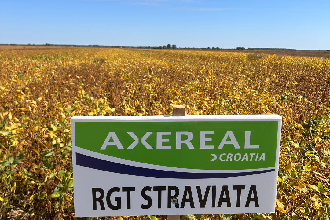Straviata