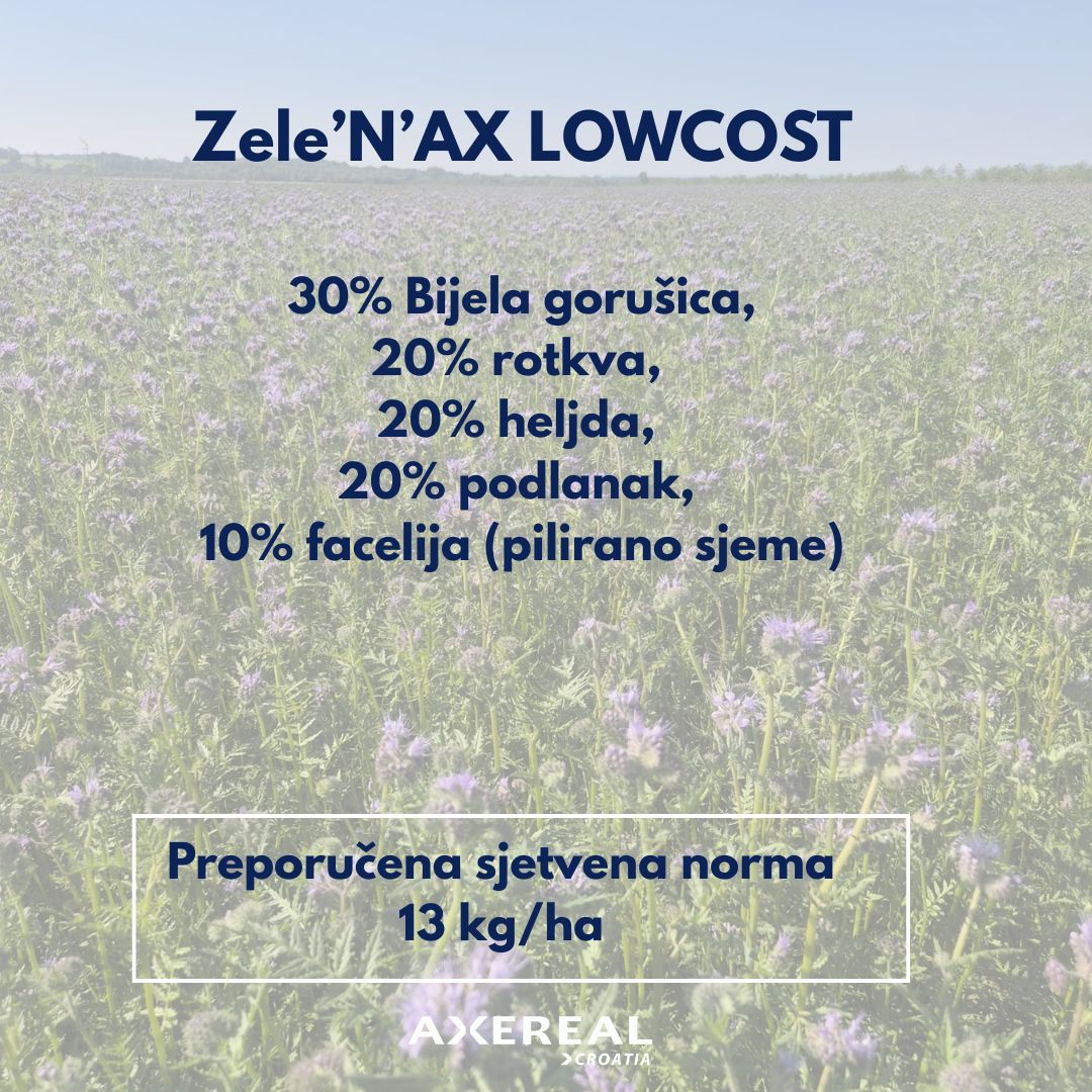 ZelenAX Lowcost
