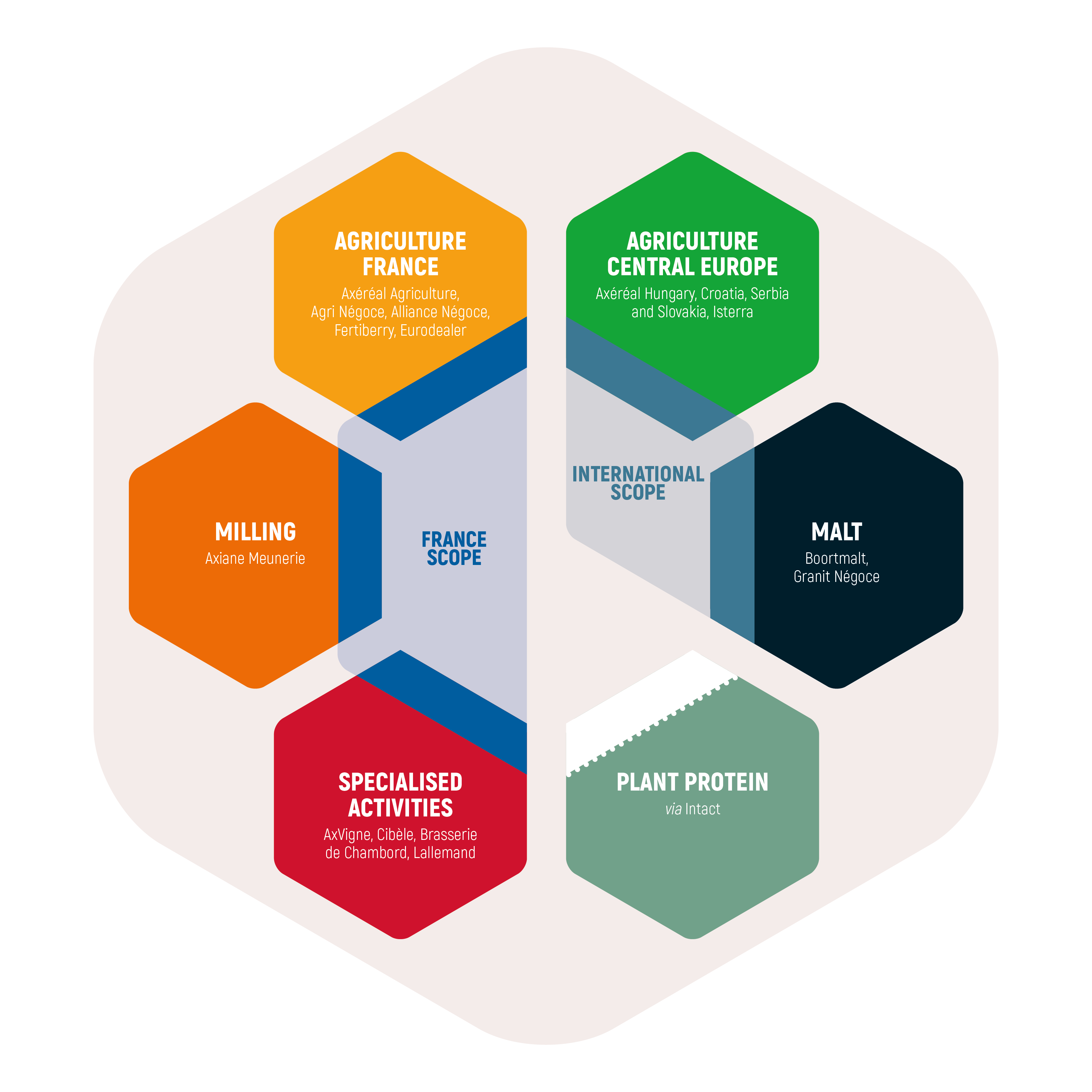 Graphique 6 activites Axereal 2026 EN