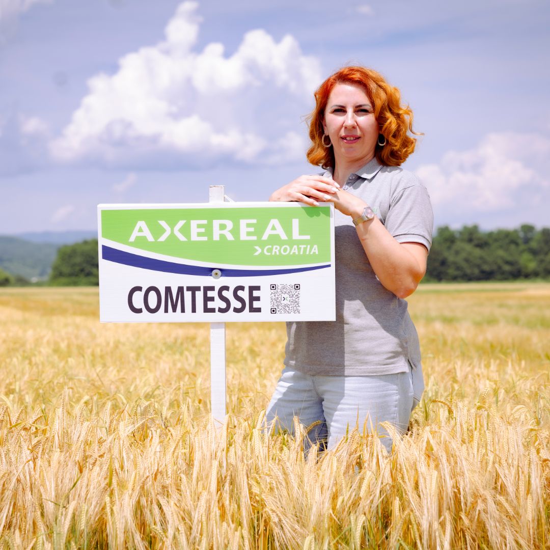 COMTESSE