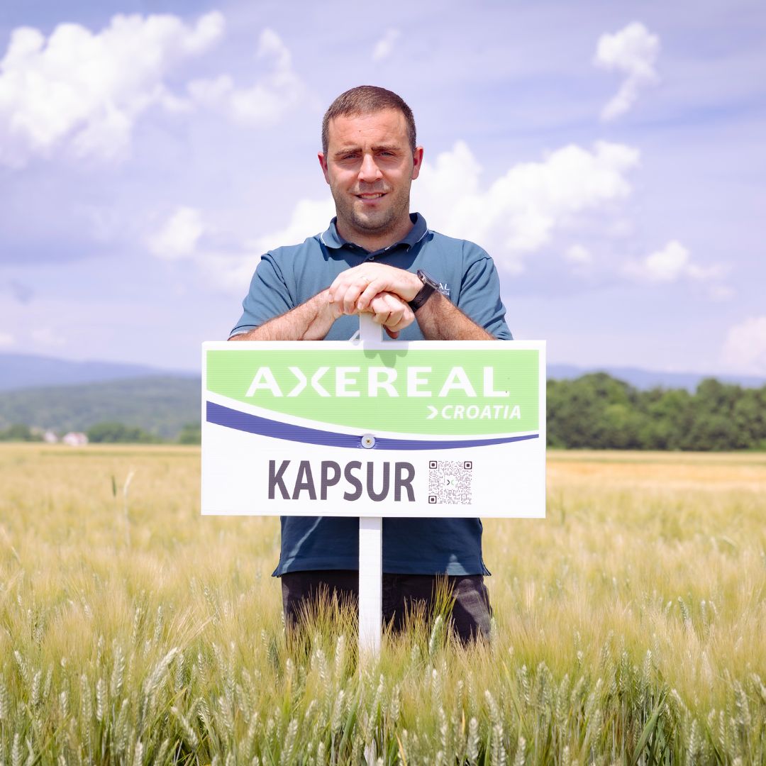 Kapsur