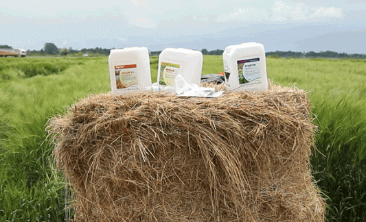 Foliar fertilizers Axereal offer