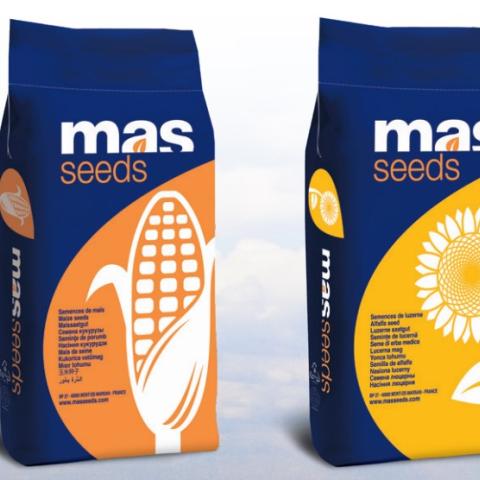 Mas Seeds