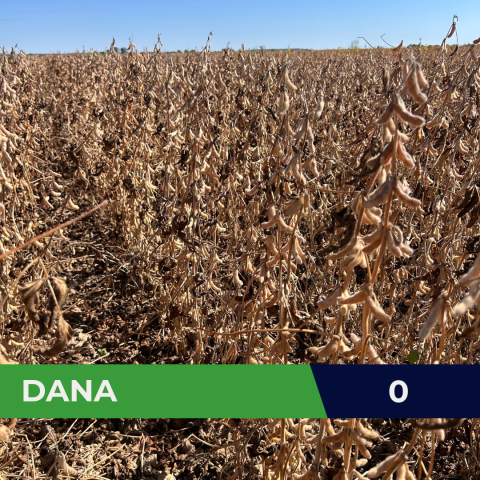 Dana