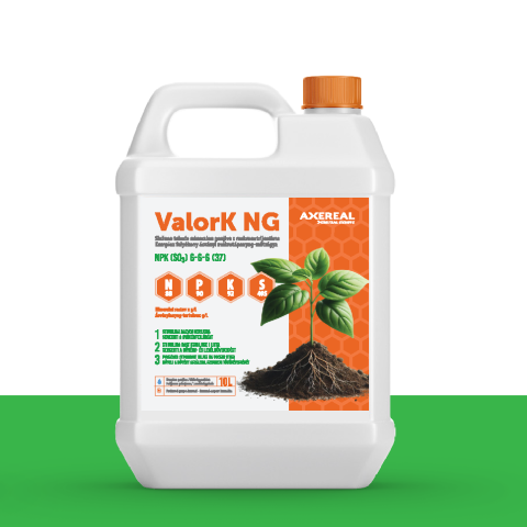 Valor N NG