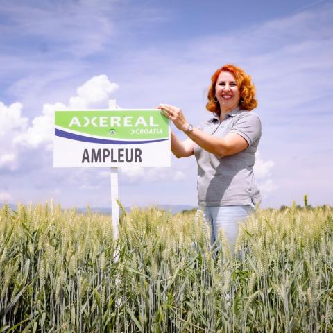 AMPLEUR