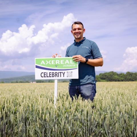 CELEBRITY