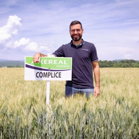 COMPLICE