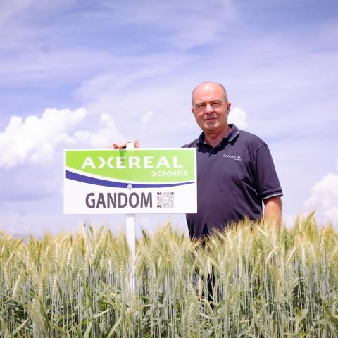 GANDOM
