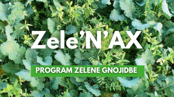 ZelenAX