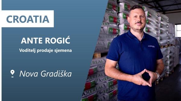 Ante Rogić